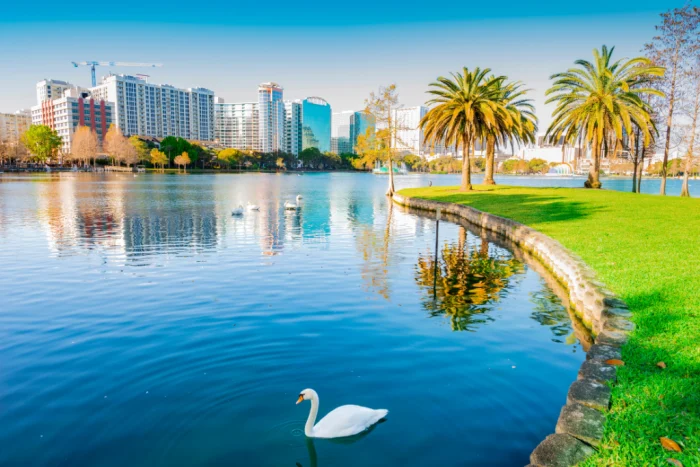 Orlando Vacation